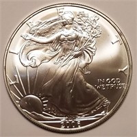 2006 American Silver Eagle - .999 Silver Ounce