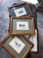 Duck Framed Art Prints