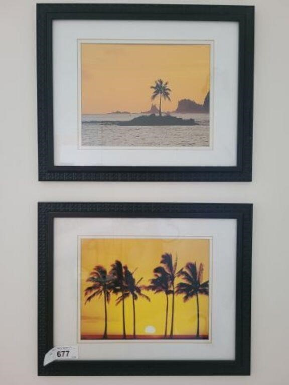 PAIR OF BEACH PALM TREE PHOTOS