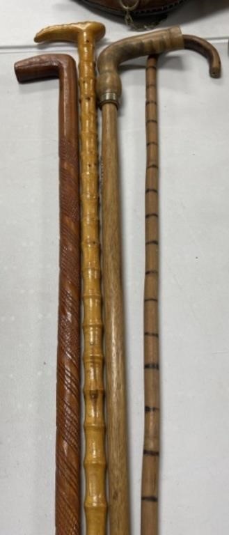 4 - Walking Canes