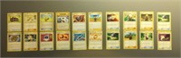 20 Pokemon Trainer Cards