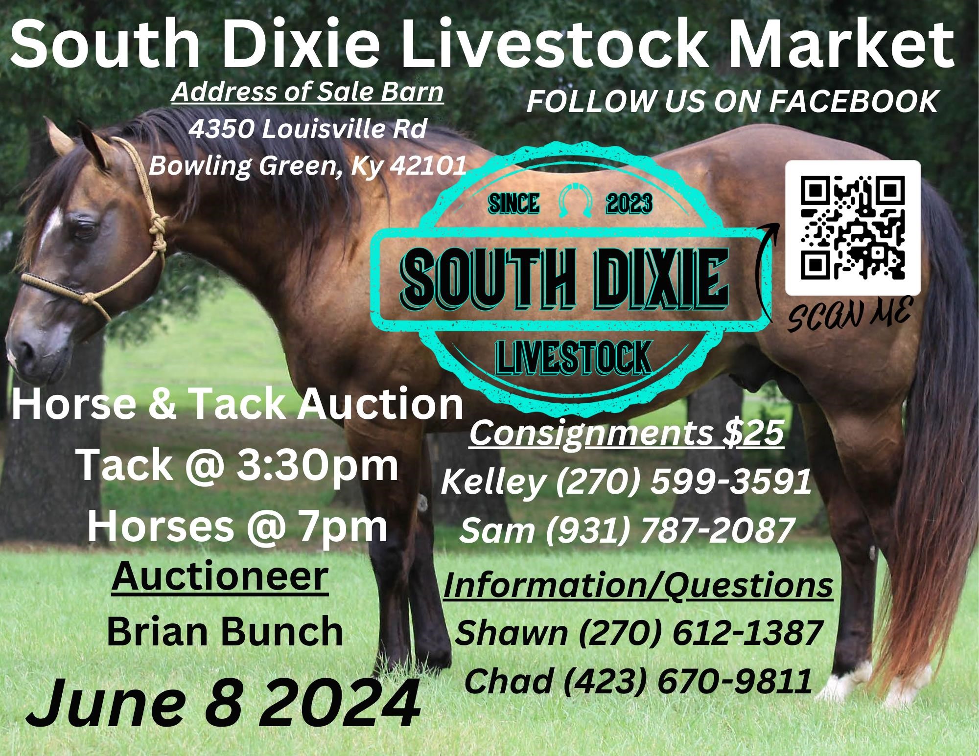 South Dixie Livestock Saturday June 8th Horse Sale!