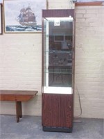 Upright Lighted Store Display Case