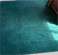 Indoor/Outdoor Green Carpet 12ft x 9ft