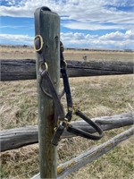 DARK LEATHER HORSE HALTER WITH BRASS HARDWARE