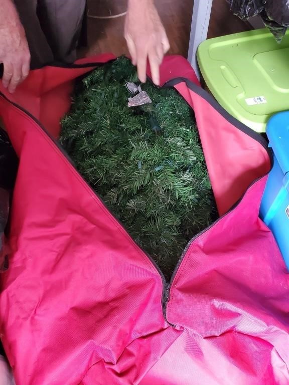Christmas Tree in bag
