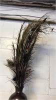 Brown vase of peacock feathers