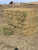 1 Bundle of 21 Bales 3rd Cutting Alfalfa Hay