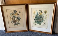 Arthur Singer Framed Bird Prints