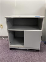Rolling Storage Cabinet--28x20x30