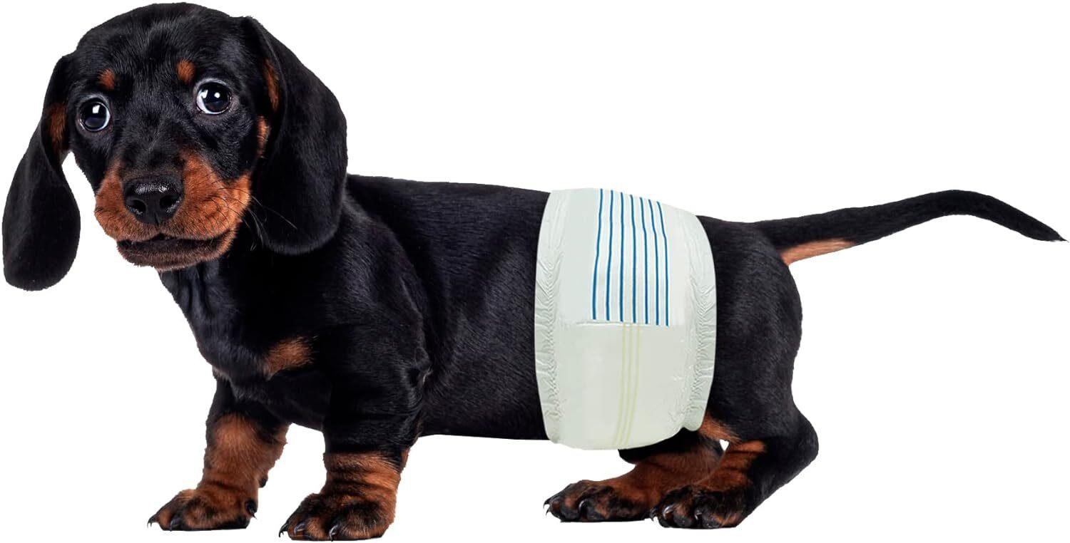 BV Dog Diapers Male Small (Waist 12-19in) 50pk