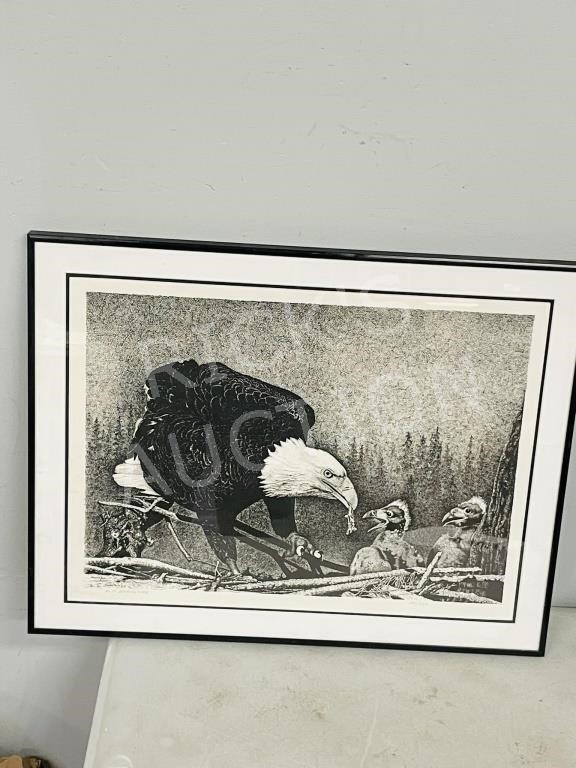 framed LTD print by Berkshire 101/150 - Eagle nest