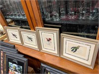 4 Framed Bird Pictures