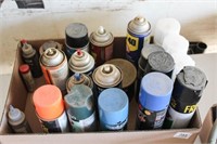Cans of paint, rustoleum, wd-40