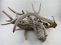 Elk and deer sheds