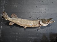 Vintage Pike Fish Taxidermy Mount 40 x 11