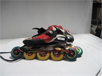 In Line Colorful Roller Skates