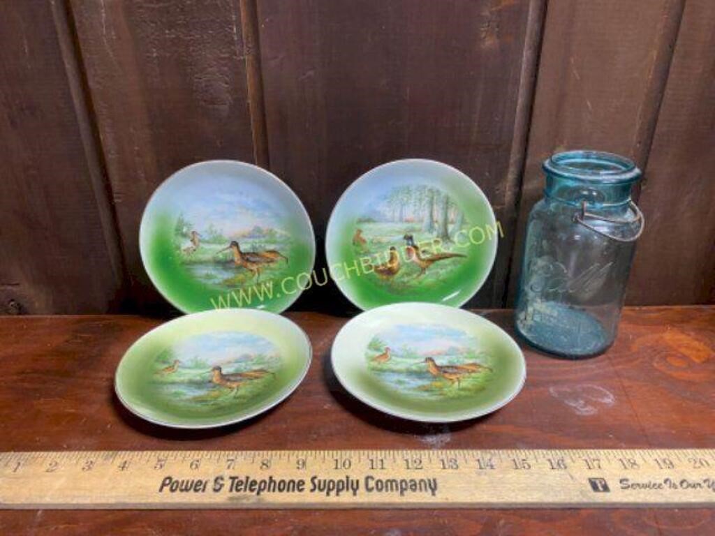 Nuremberg China Made in Germany Plates