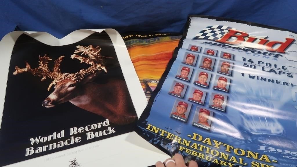 Posters-BF Goodrich, Bud, World Record Book