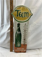 Teem Thermometer