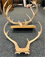 2 Sets of Deer Antlers