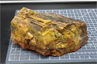 Arizona Rainbow Petrified Wood 7lbs