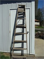 Tall Step Ladders