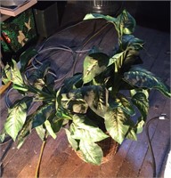 Artificial plant, 34" tall
