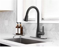 Project Source Pull-down Kitchen Faucet $119