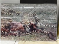 Vintage Framed Print of Cheetahs Feasting on Prey