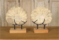 Pair Decorative Cast Stone Ammonite Sculptures