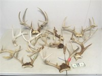 Madison P/U Only Lot of Assorted Buck/Deer