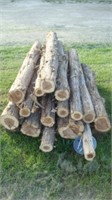 Cedar Posts