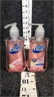 dial hand soap