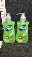 dial hand soap