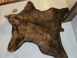 Brown Bear Rug(Very Good Condition)
