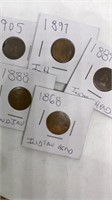 (5) assorted Indian head pennies