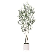 N3031  DR.Planzen 7FT Olive Tree  10.6 Planter