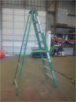 Fiberglass Ladder 8'
