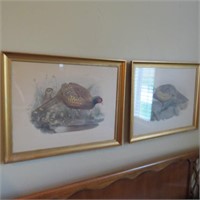 Pair of Beautiful Framed Pictures of Pheasants