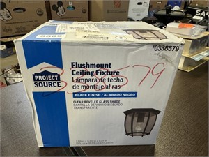 Project source flush mount ceiling light fixture