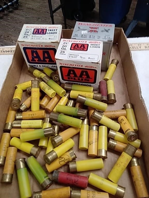 Group of 20 gauge shotgun shells