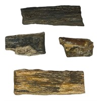 Lot of Ancient Petrified Wood Logs/ Speciments