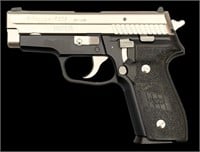 Sig Sauer Model P229 stainless