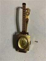 Rare antique watch jewels