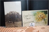 2 - Fennimore, WI - Postcards