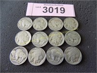 Twelve Buffalo nickels