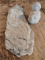 Mica & Fossilized Snail