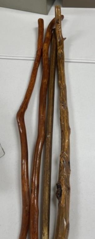 4 - Walking Sticks