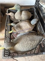 6 DUCK DECOYS, PLASTIC, IN GARAGE